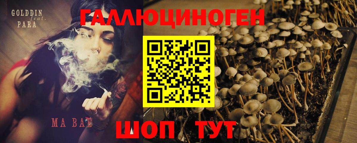 Лесосибирск  Псилоцибиновые грибы GOLDEN TEACHER  Вход с VPN  Галлюциногенные грибы GOLDEN TEACHER 